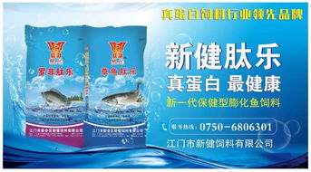 2019年巴沙魚繼續(xù)火爆 有人一次性下了數(shù)千萬的訂單